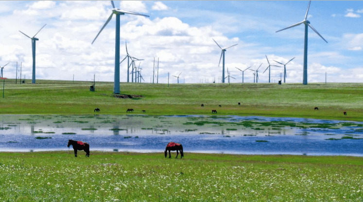 windfarm with horses graze